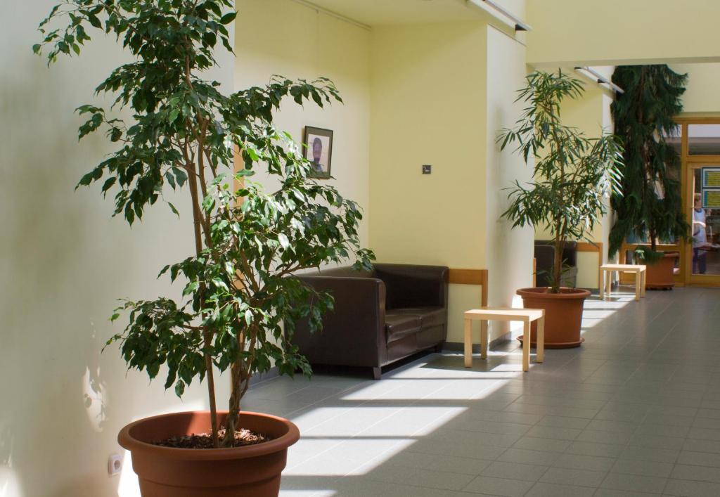Ceu Konferencia Koezpont Hotel Budapest Ngoại thất bức ảnh